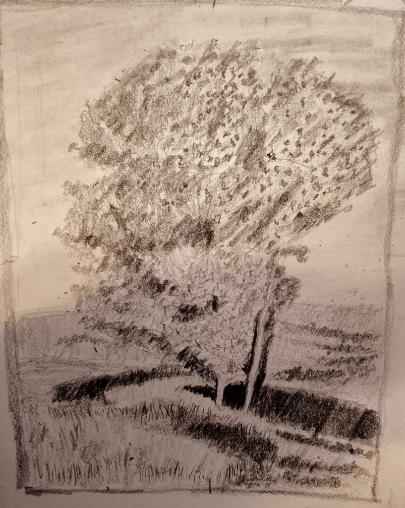 Landscape 2 trees graphite pencil posca sketching 8-3-25
