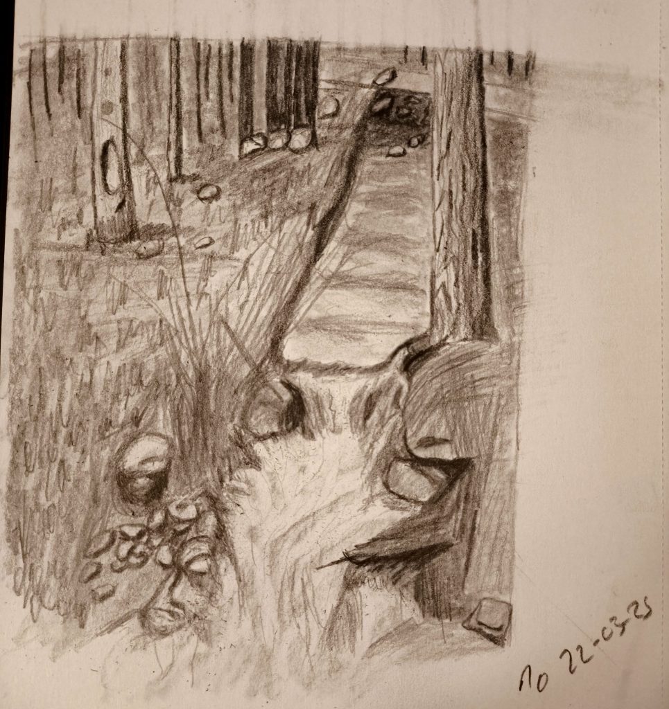 Landscape river and trees graphite pencil posca sketching 22-03-25
