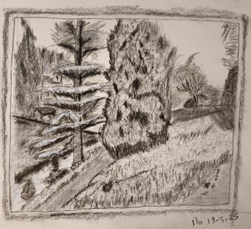 Landscape trees and lake graphite pencil posca sketching 19-3-25