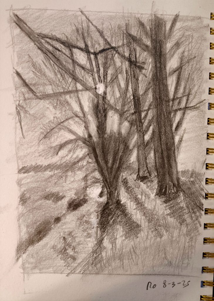 Landscape trees graphite pencil posca sketching 8-3-25