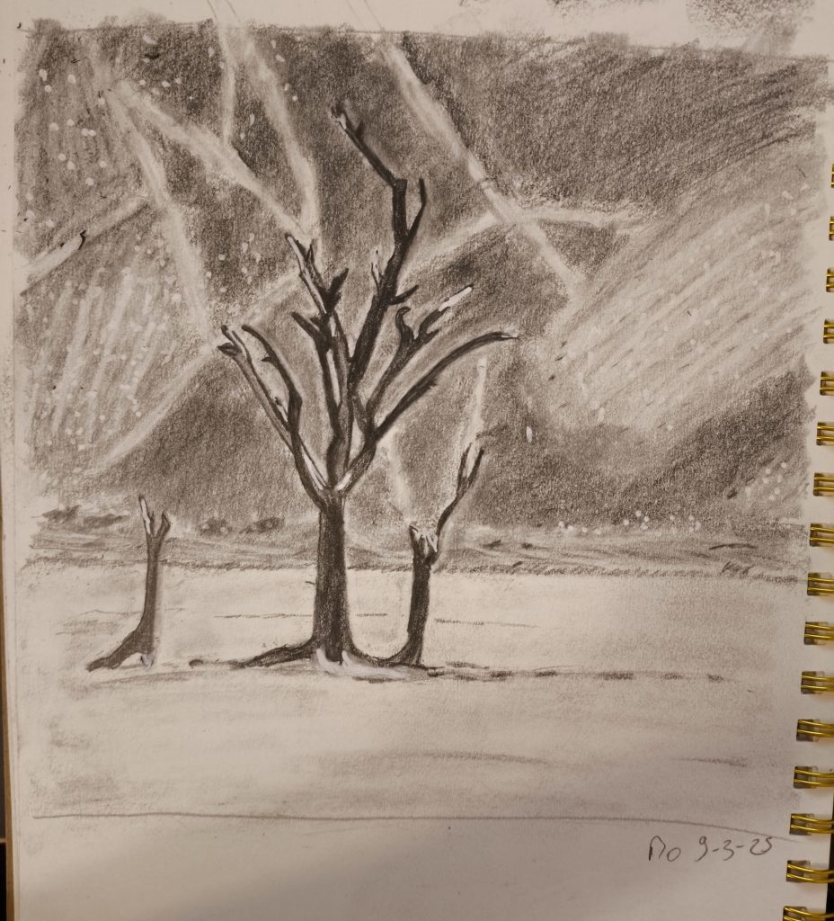 Landscape trees in the desert graphite pencil posca sketching 9-3-25