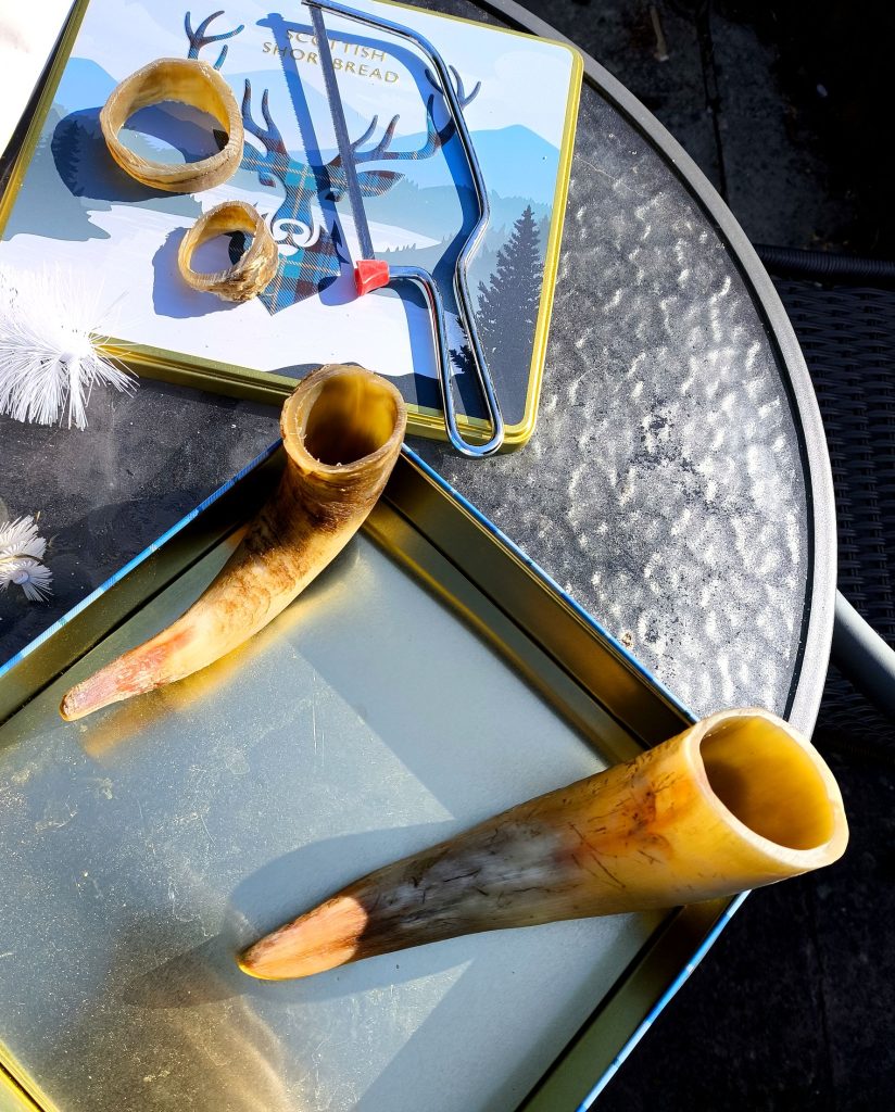 Viking Drinking horn made from cow horn