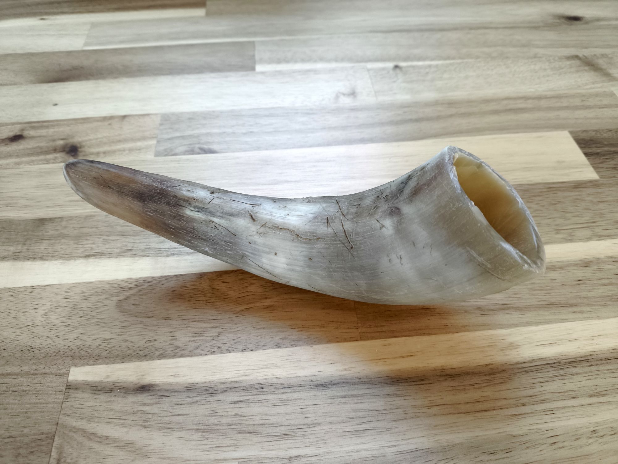 I made a viking drinking horn from scratch with a cow horn