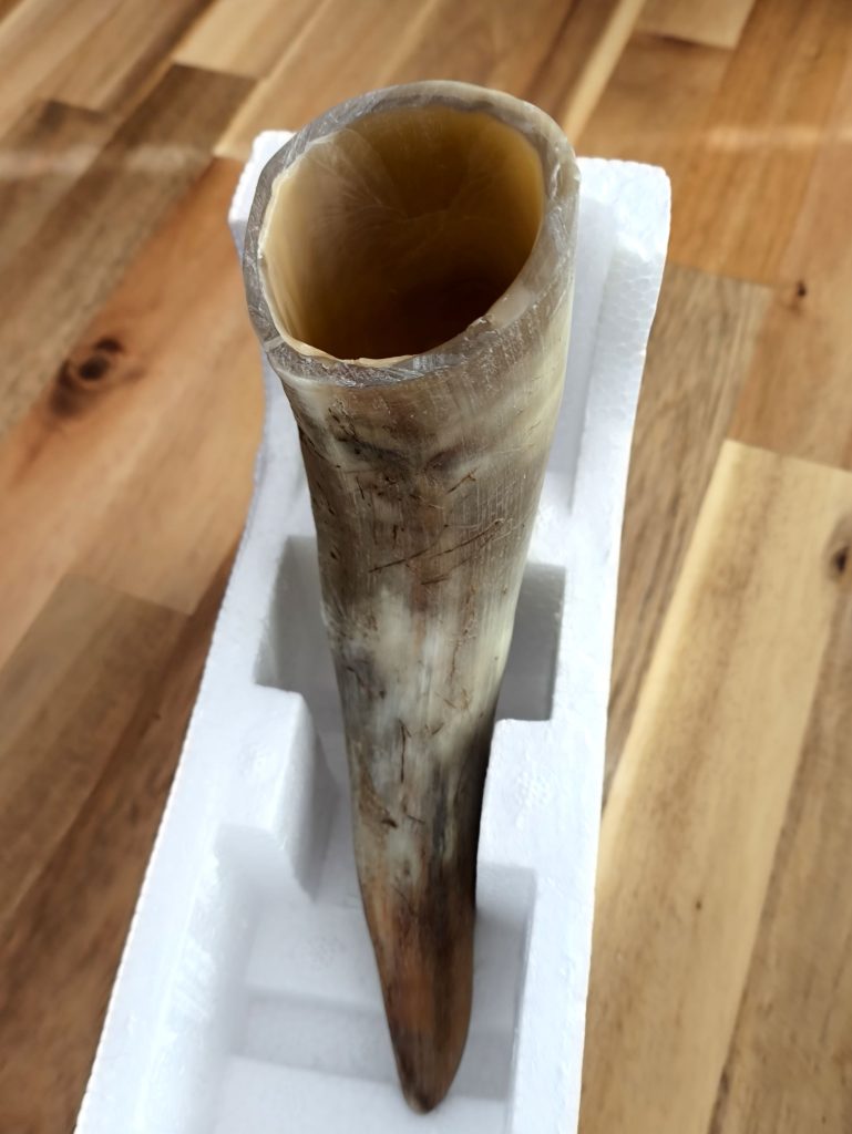 Viking Drinking horn made from cow horn