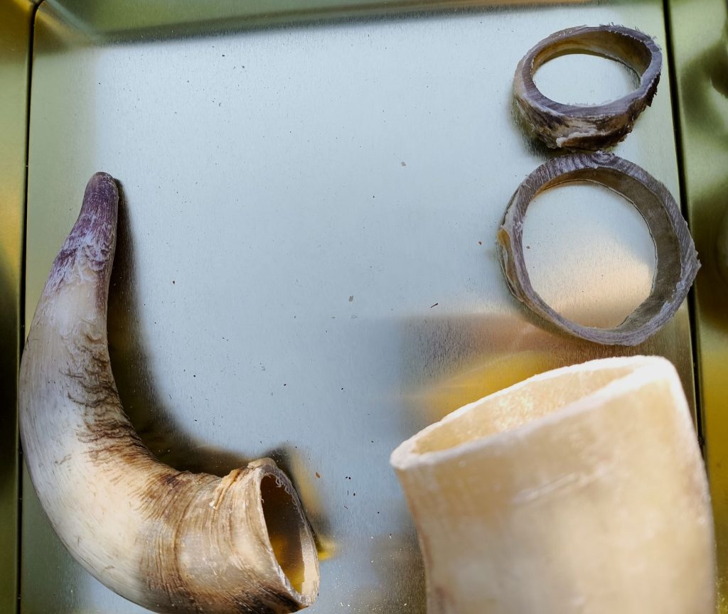 Viking Drinking horn made from cow horn