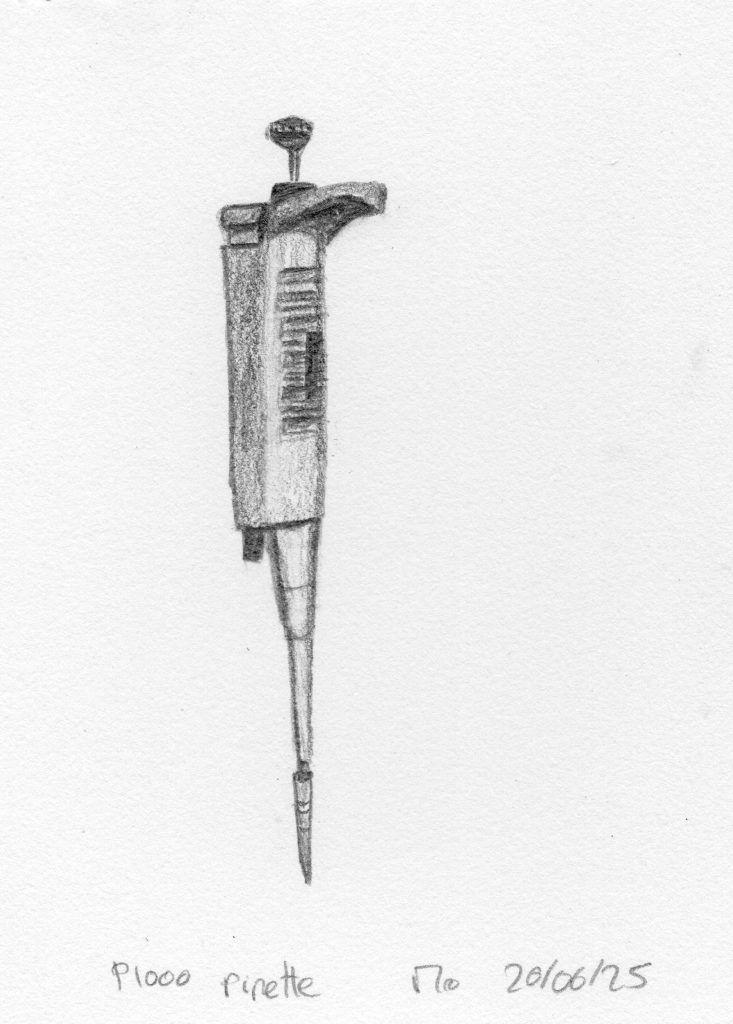 pipette p1000 graphite pencil