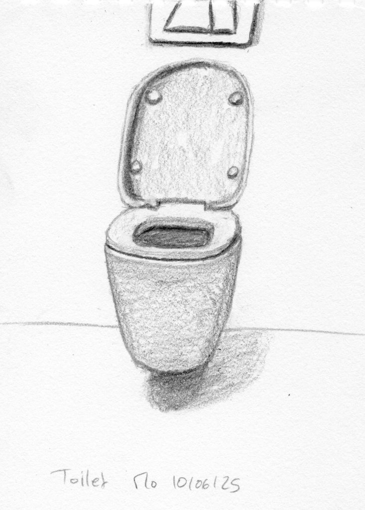 toilet graphite pencil